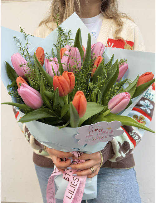Bubblegum Tulip